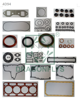 Gioăng đại tu 4D94